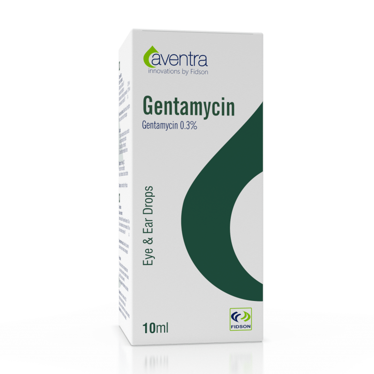 Gentamycin 0.3% Eye Drop Fidson