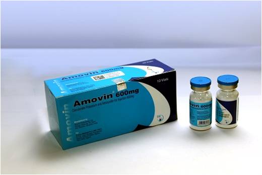 Amovin (Clavulanate Potassium and Amoxicillin) 600mg Injection