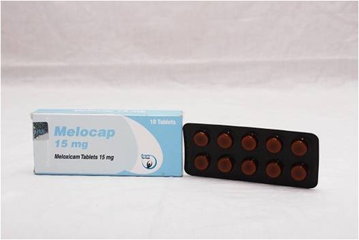 Melocap (meloxicam) 15mg